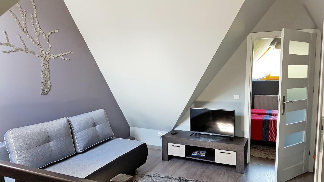 Apartament Podkowa Z Widokiem Na Giewont コシチェリスコ エクステリア 写真